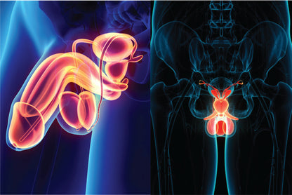 Vigör™ - Manliga Kraftdroppar