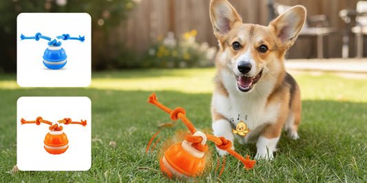JaktBollen™ -Smart interaktiv boll för gladare och friskare hundar