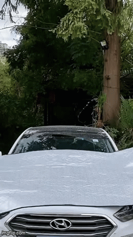 FrostGuard™ — Vindruteskydd för vinterns tuffa väder