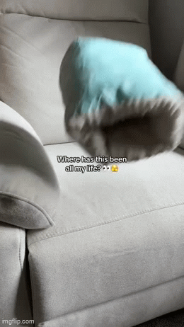 TryggMoln™ | Säkerställer en hälsosam och bekväm hållning