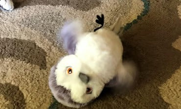 Fjuppa™ – Simulerad Kvitterfågel för Aktiv Lek med Din Katt