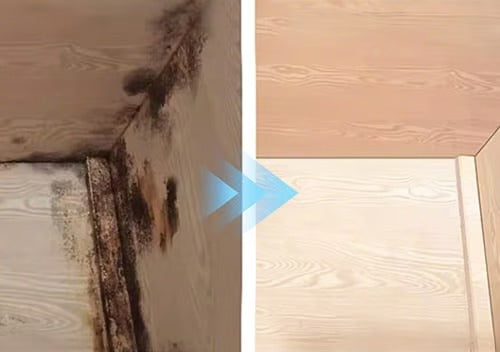 AntiMögel Pro™  - Trippelverkande mögelrengöring för väggar och ytor