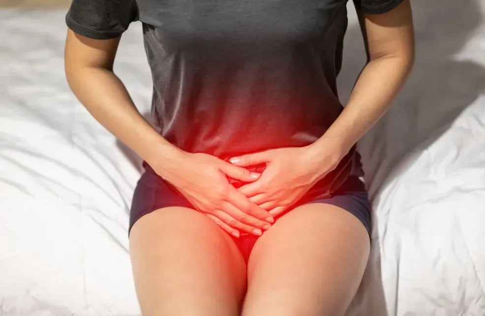 TorrTrygghet™ - Naturligt Plåster för Blåskontroll och Självsäkerhet